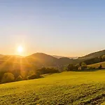 Tannenhaeuschen Sauerland *