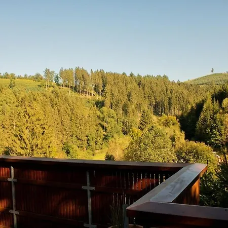 Tannenhaeuschen Sauerland Vakantiehuis Schmallenberg