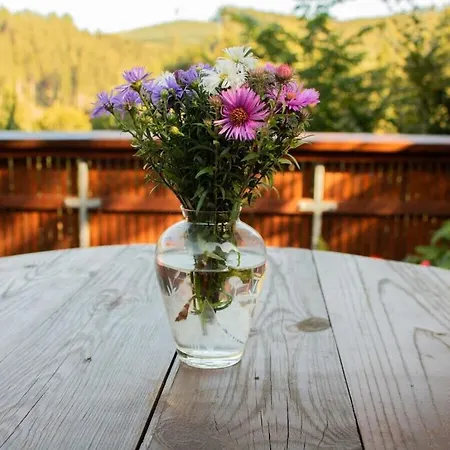 Vakantiehuis Tannenhaeuschen Sauerland *