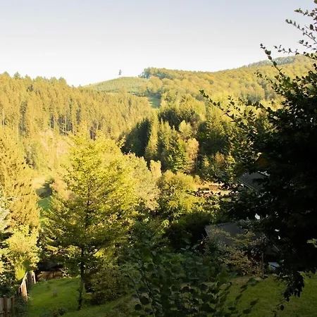 Vakantiehuis Tannenhaeuschen Sauerland Schmallenberg