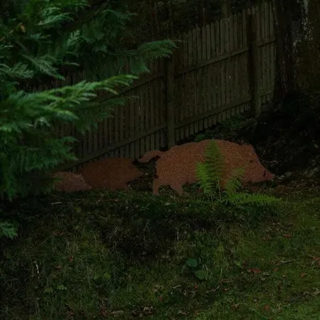Tannenhaeuschen Sauerland 別荘 シュマレンベルク