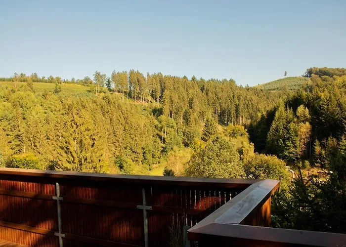 Tannenhaeuschen Sauerland Vakantiehuis Schmallenberg