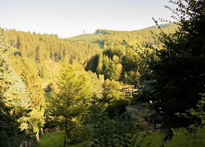 Vakantiehuis Tannenhaeuschen Sauerland Schmallenberg