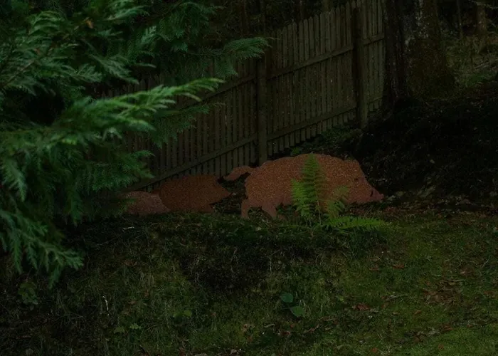 Tannenhaeuschen Sauerland Vakantiehuis Schmallenberg