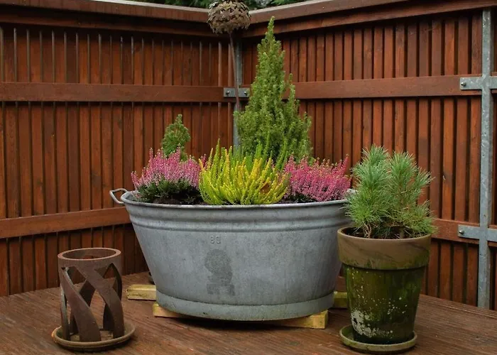 Vakantiehuis Tannenhaeuschen Sauerland Schmallenberg