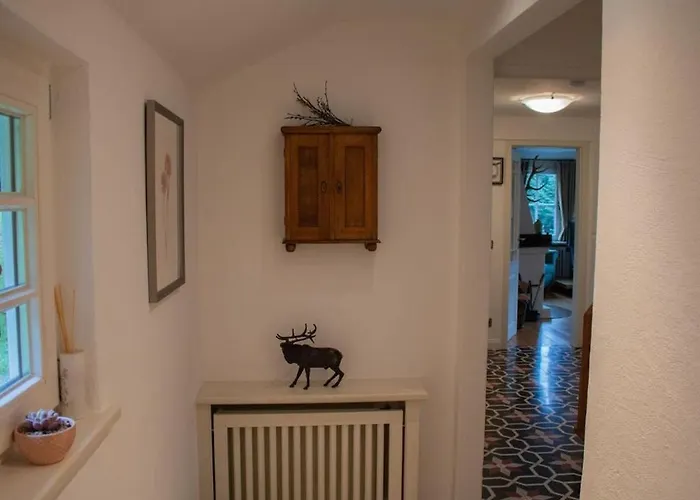 Vakantiehuis Tannenhaeuschen Sauerland Schmallenberg