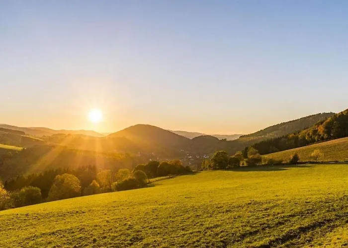 Tannenhaeuschen Sauerland *